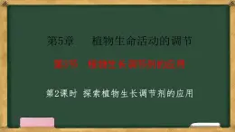 生物人教版（2019）选择性必修1  5.3植物生长调节剂的应用 第2课时 探索植物生长调节剂的应用课件