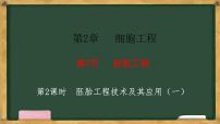 高中生物人教版 (2019)选择性必修3二 胚胎工程技术及其应用背景图课件ppt