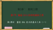 生物选择性必修3第1节 重组DNA技术的基本工具教学演示课件ppt