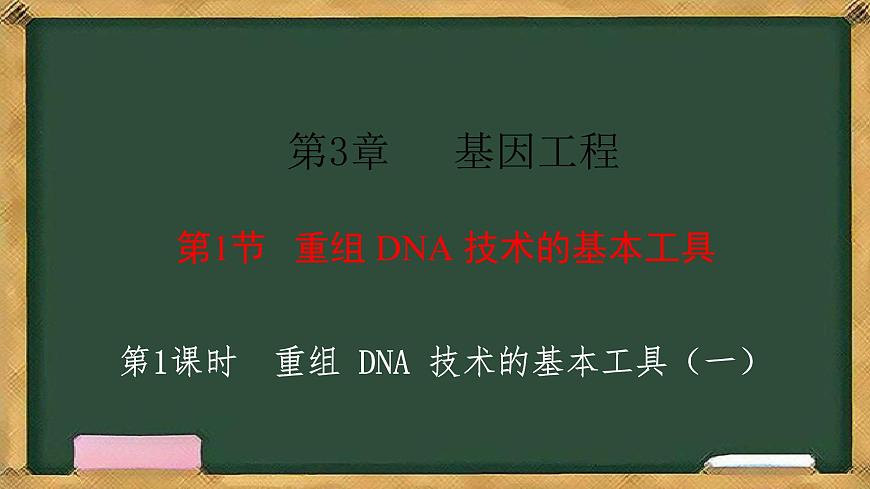 高中生物人教版選擇性必修3  3.1重組 DNA 技術(shù)的基本工具  第1課時(shí) 重組 DNA 技術(shù)的基本工具（一） 課件第1頁