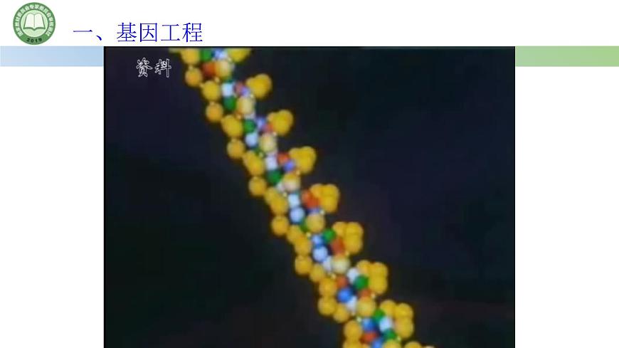 高中生物人教版選擇性必修3  3.1重組 DNA 技術(shù)的基本工具  第1課時(shí) 重組 DNA 技術(shù)的基本工具（一） 課件第4頁