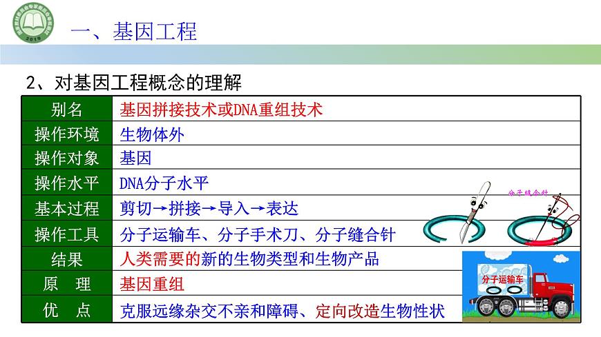 高中生物人教版選擇性必修3  3.1重組 DNA 技術(shù)的基本工具  第1課時(shí) 重組 DNA 技術(shù)的基本工具（一） 課件第6頁