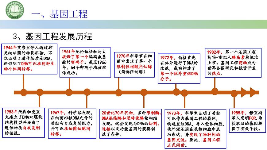 高中生物人教版選擇性必修3  3.1重組 DNA 技術(shù)的基本工具  第1課時(shí) 重組 DNA 技術(shù)的基本工具（一） 課件第7頁