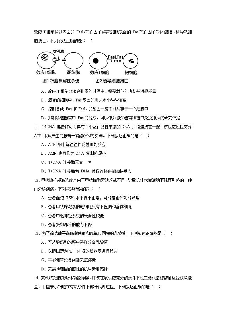 浙江省新陣地教育聯(lián)盟2025屆高三下學(xué)期第二次聯(lián)考生物試題第3頁(yè)