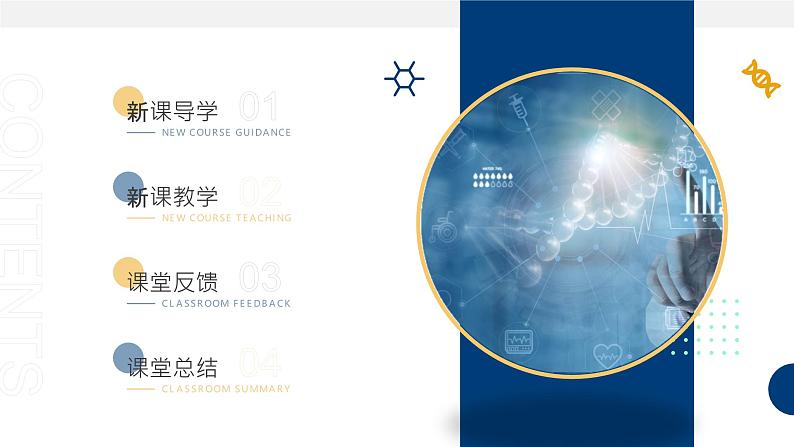 人教版(2019)高中生物必修二 第三章 第三节 DNA的复制 课件ppt第2页