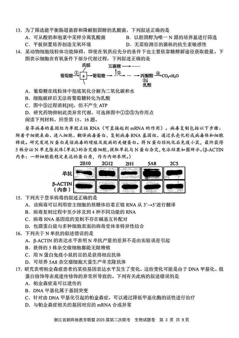 2025浙江省新阵地教育联盟高三下学期第二次联考试题生物PDF版含答案第3页