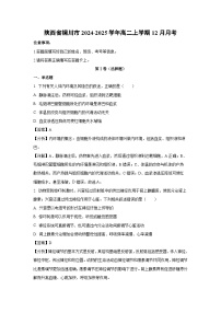 2024-2025学年陕西省铜川市高二上学期12月月考生物试卷（解析版）