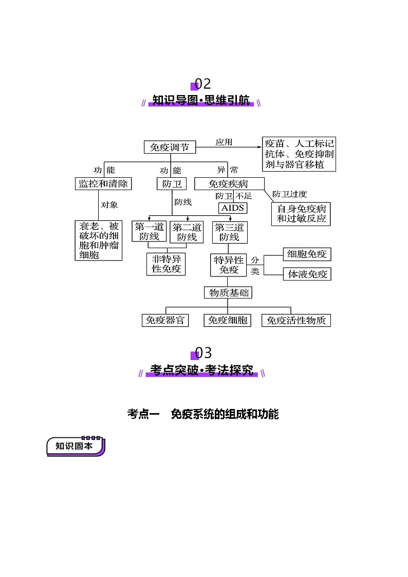 第28讲 免疫调节(讲义)(原卷版)第3页