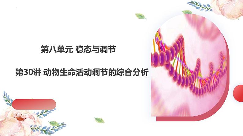 第30讲 动物生命活动调节的综合分析(精美课件)第2页