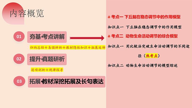 第30讲 动物生命活动调节的综合分析(精美课件)第5页