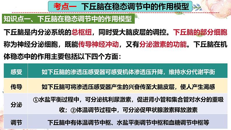 第30讲 动物生命活动调节的综合分析(精美课件)第7页