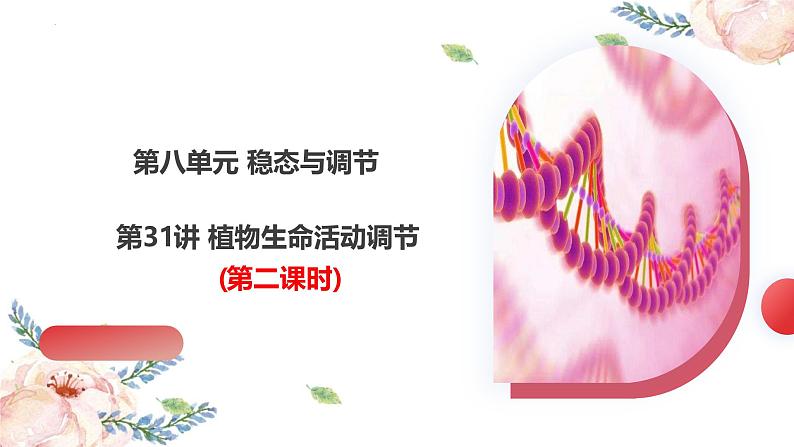第31讲 植物生命活动调节(第二课时)(精美课件)第2页