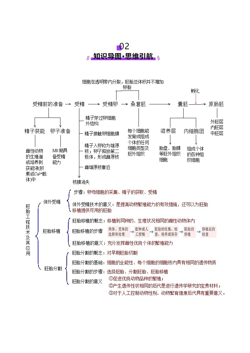 第41讲 胚胎工程(讲义)(原卷版)第3页