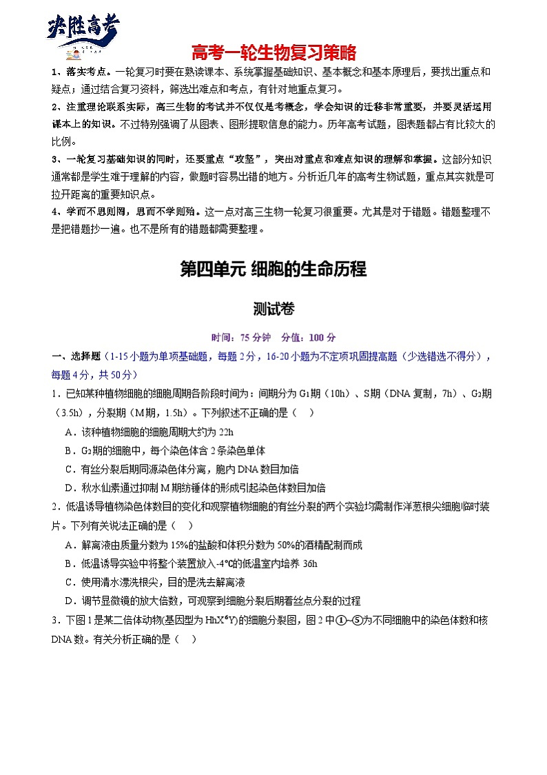 第四单元 细胞的生命历程(测试)(原卷版)第1页