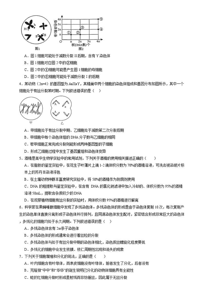 第四单元 细胞的生命历程(测试)(原卷版)第2页