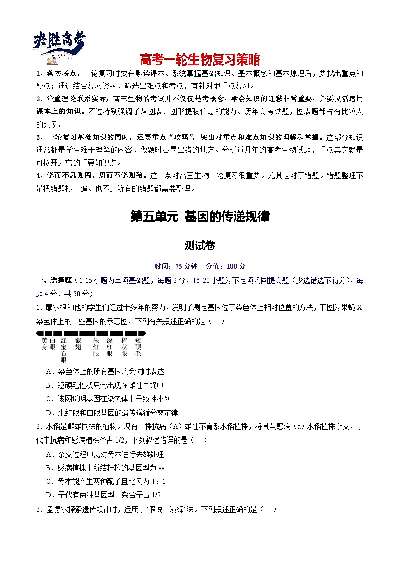 第五单元 基因的传递规律(测试)(原卷版) 第1页
