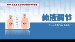 2024-2025学年高中生物同步备课课件（人教版2019）选择性必修一3-1激素与内分泌系统