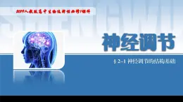 2024-2025学年高中生物同步备课课件（人教版2019）选择性必修一2-1神经调节的结构基础