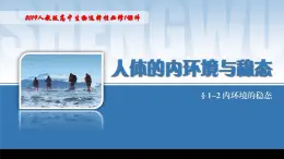 2024-2025学年高中生物同步备课课件（人教版2019）选择性必修一1-2内环境的稳态