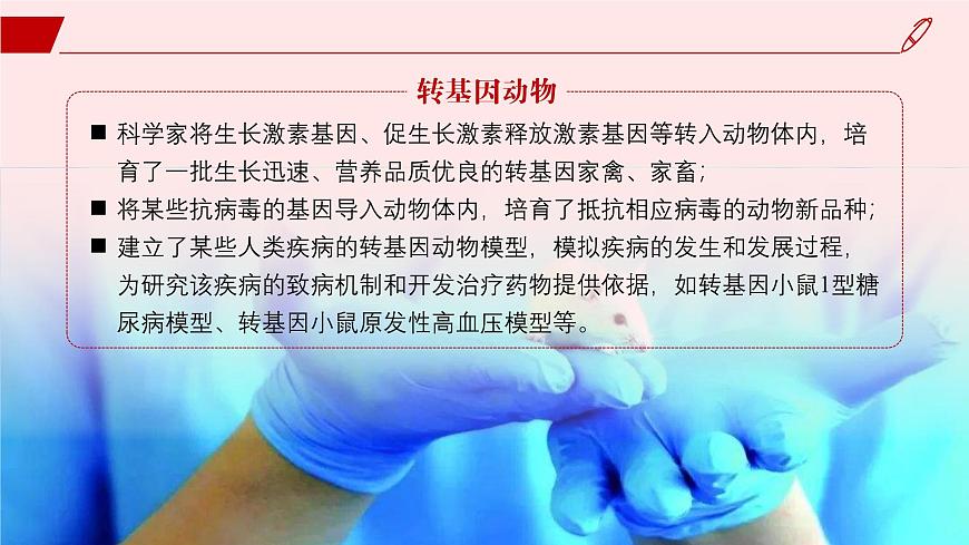 2024-2025學(xué)年高中生物同步備課課件（人教版2019）選擇性必修三4-1轉(zhuǎn)基因產(chǎn)品的安全性第4頁