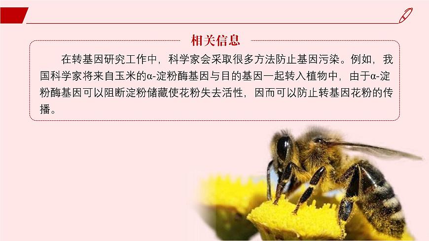 2024-2025學(xué)年高中生物同步備課課件（人教版2019）選擇性必修三4-1轉(zhuǎn)基因產(chǎn)品的安全性第7頁