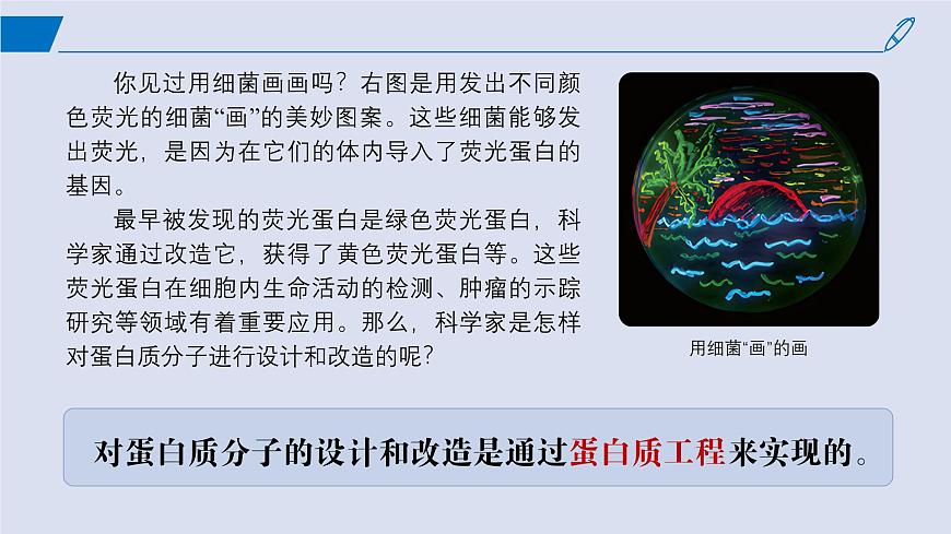 2024-2025學(xué)年高中生物同步備課課件（人教版2019）選擇性必修三3-4蛋白質(zhì)工程的原理和應(yīng)用第2頁(yè)