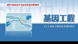 2024-2025学年高中生物同步备课课件（人教版2019）选择性必修三3-2基因工程的基本操作程序