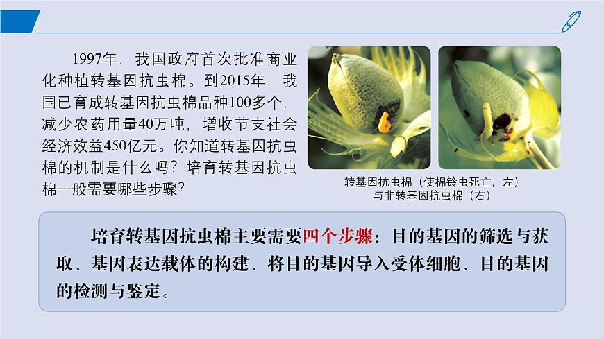 2024-2025學年高中生物同步備課課件(人教版2019)選擇性必修三3-2基因工程的基本操作程序第2頁