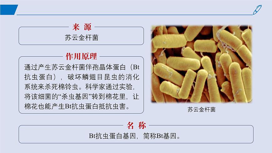 2024-2025學年高中生物同步備課課件(人教版2019)選擇性必修三3-2基因工程的基本操作程序第5頁