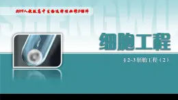 2024-2025学年高中生物同步备课课件（人教版2019）选择性必修三2-3-2胚胎工程技术及其应用