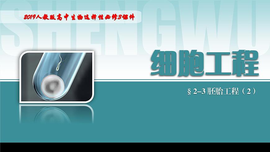 2024-2025學(xué)年高中生物同步備課課件（人教版2019）選擇性必修三2-3-2胚胎工程技術(shù)及其應(yīng)用第1頁