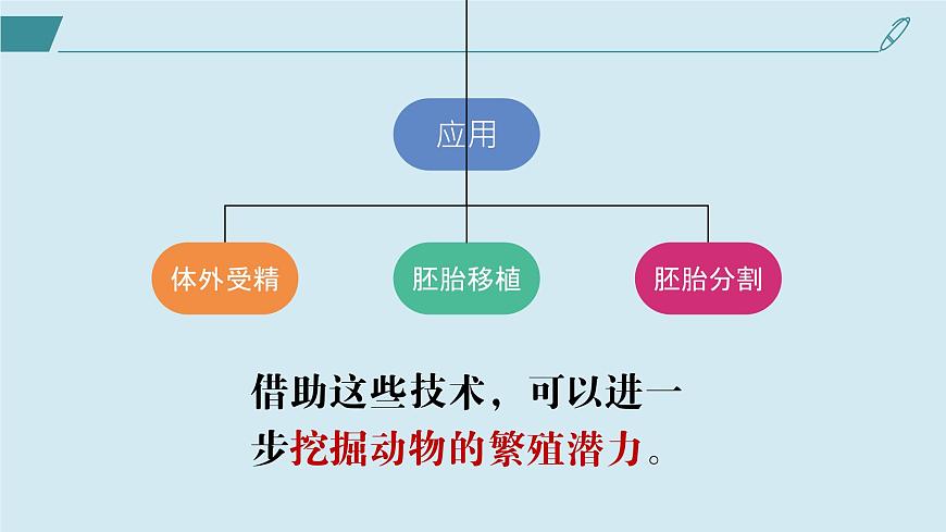 2024-2025學(xué)年高中生物同步備課課件（人教版2019）選擇性必修三2-3-2胚胎工程技術(shù)及其應(yīng)用第3頁