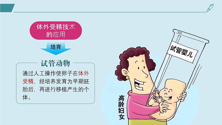 2024-2025學(xué)年高中生物同步備課課件（人教版2019）選擇性必修三2-3-2胚胎工程技術(shù)及其應(yīng)用第4頁