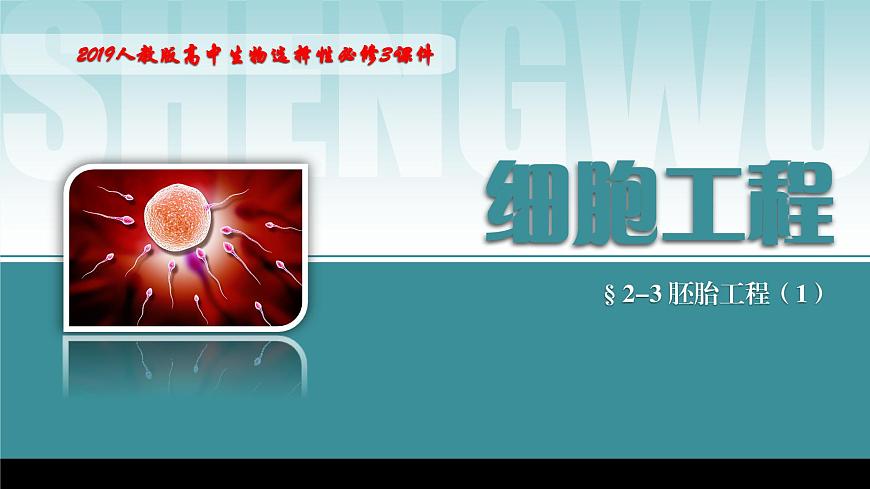2024-2025學(xué)年高中生物同步備課課件（人教版2019）選擇性必修三2-3-1胚胎工程的理論基礎(chǔ)第1頁