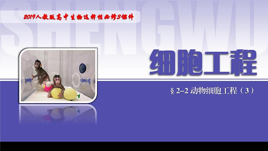 2024-2025學(xué)年高中生物同步備課課件（人教版2019）選擇性必修三2-2-3動(dòng)物體細(xì)胞核移植技術(shù)和克隆動(dòng)物第1頁(yè)