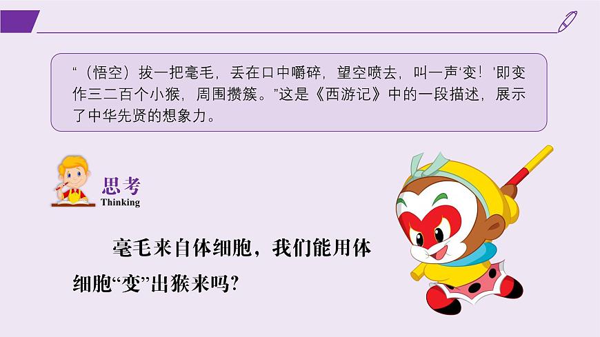 2024-2025學(xué)年高中生物同步備課課件（人教版2019）選擇性必修三2-2-3動(dòng)物體細(xì)胞核移植技術(shù)和克隆動(dòng)物第2頁(yè)