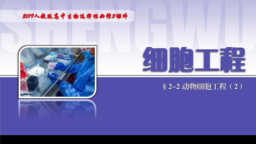 2024-2025學(xué)年高中生物同步備課課件（人教版2019）選擇性必修三2-2-2動(dòng)物細(xì)胞融合技術(shù)與單克隆抗體第1頁(yè)