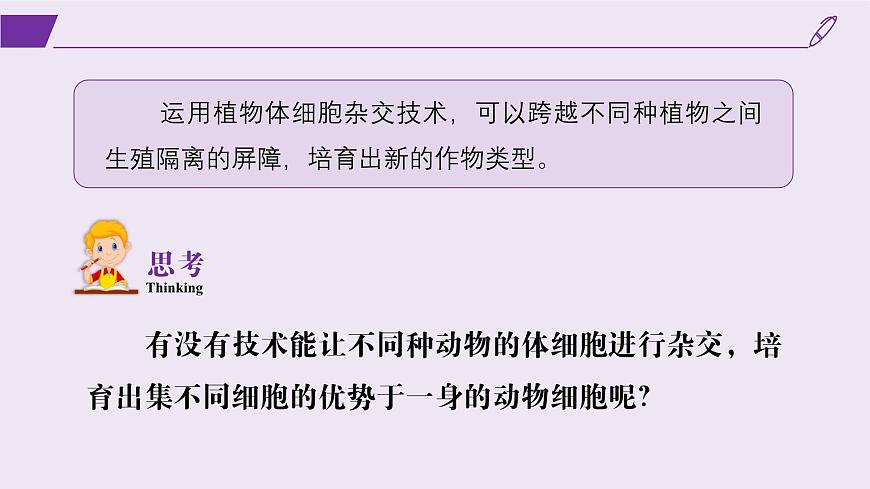 2024-2025學(xué)年高中生物同步備課課件（人教版2019）選擇性必修三2-2-2動(dòng)物細(xì)胞融合技術(shù)與單克隆抗體第2頁(yè)