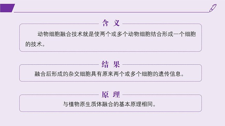 2024-2025學(xué)年高中生物同步備課課件（人教版2019）選擇性必修三2-2-2動(dòng)物細(xì)胞融合技術(shù)與單克隆抗體第4頁(yè)