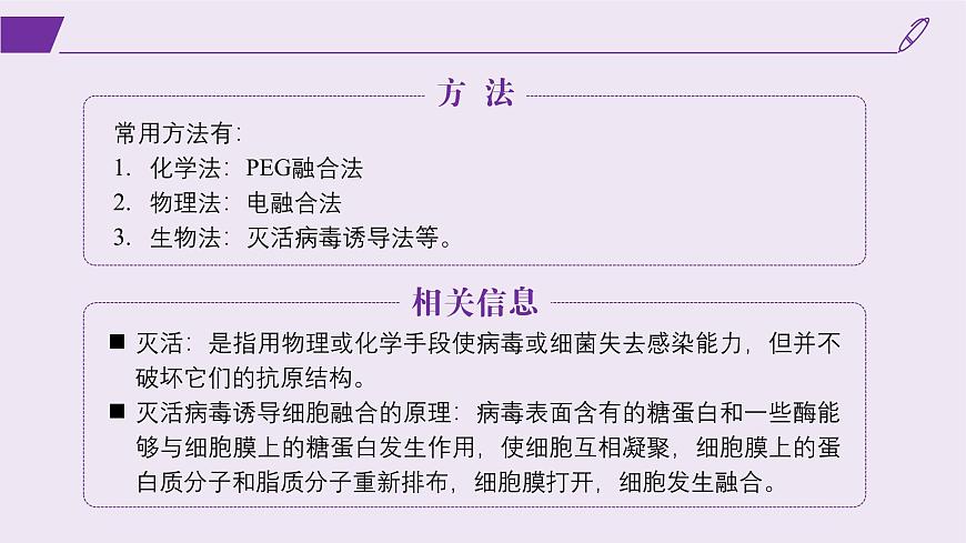 2024-2025學(xué)年高中生物同步備課課件（人教版2019）選擇性必修三2-2-2動(dòng)物細(xì)胞融合技術(shù)與單克隆抗體第5頁(yè)
