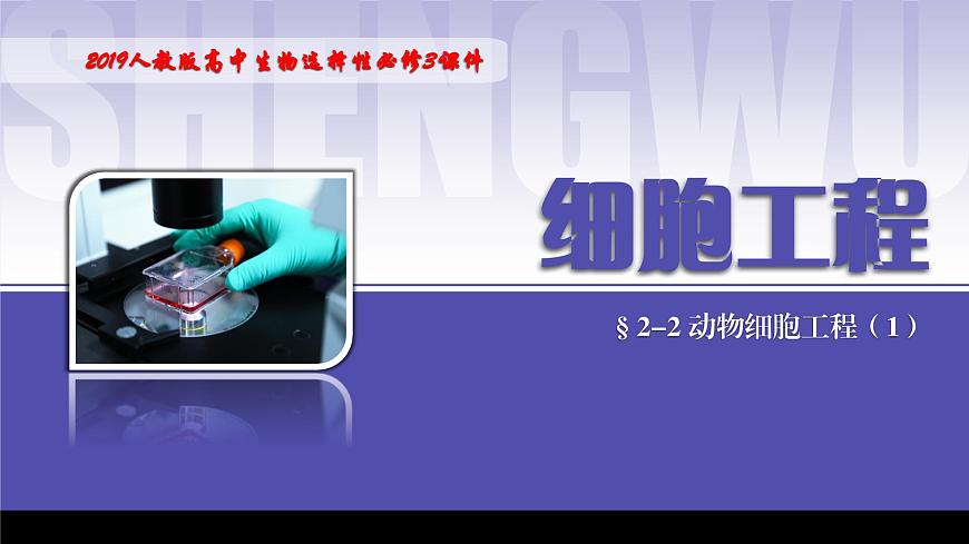 2024-2025學年高中生物同步備課課件(人教版2019)選擇性必修三2-2-1動物細胞培養(yǎng)第1頁