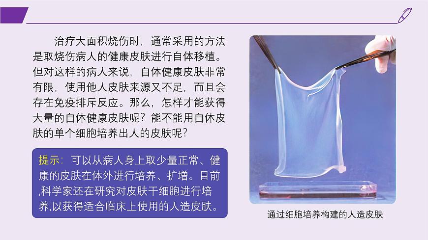 2024-2025學年高中生物同步備課課件(人教版2019)選擇性必修三2-2-1動物細胞培養(yǎng)第2頁