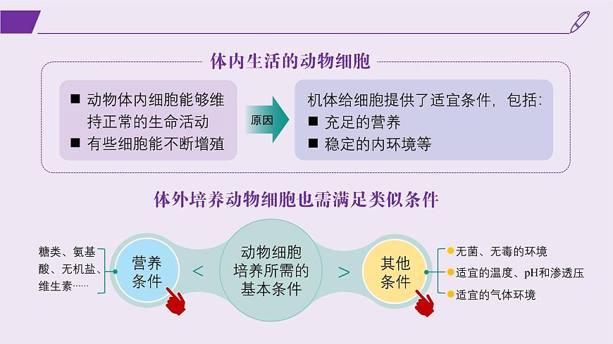 2024-2025學年高中生物同步備課課件(人教版2019)選擇性必修三2-2-1動物細胞培養(yǎng)第6頁