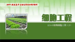 2024-2025学年高中生物同步备课课件（人教版2019）选择性必修三2-1-2植物细胞工程的应用