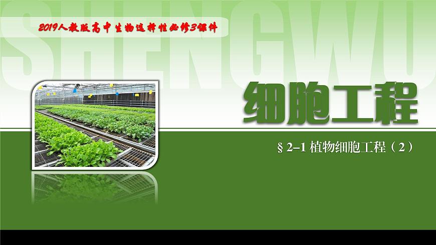 2024-2025學年高中生物同步備課課件（人教版2019）選擇性必修三2-1-2植物細胞工程的應用第1頁