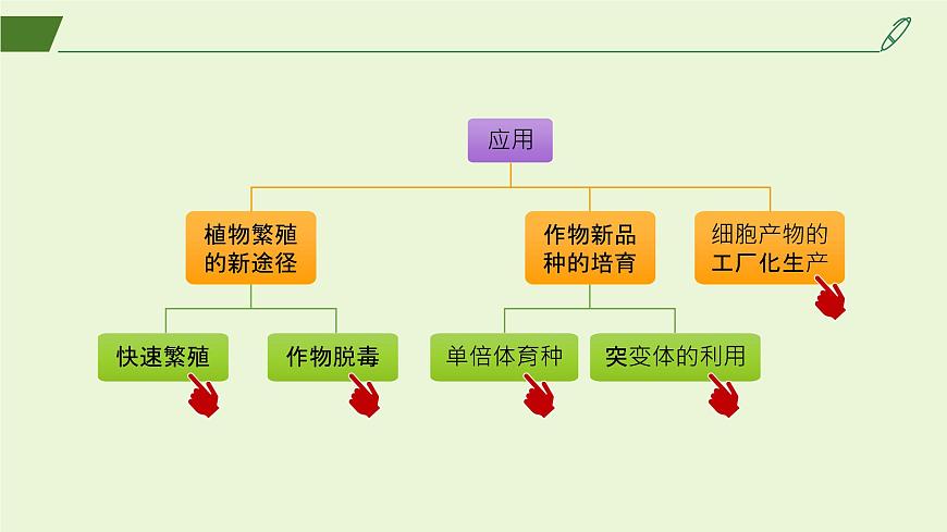 2024-2025學年高中生物同步備課課件（人教版2019）選擇性必修三2-1-2植物細胞工程的應用第3頁