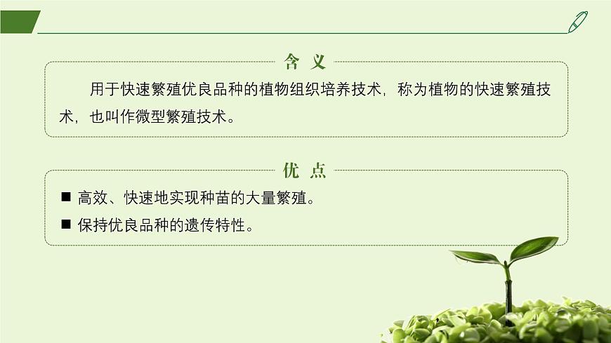 2024-2025學年高中生物同步備課課件（人教版2019）選擇性必修三2-1-2植物細胞工程的應用第5頁