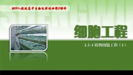 2024-2025学年高中生物同步备课课件（人教版2019）选择性必修三2-1-1植物细胞工程的基本技术