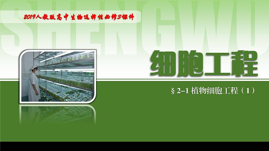 2024-2025學(xué)年高中生物同步備課課件(人教版2019)選擇性必修三2-1-1植物細(xì)胞工程的基本技術(shù)第1頁(yè)