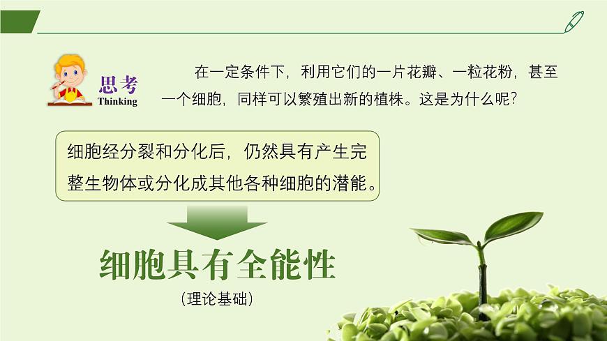 2024-2025學(xué)年高中生物同步備課課件(人教版2019)選擇性必修三2-1-1植物細(xì)胞工程的基本技術(shù)第5頁(yè)